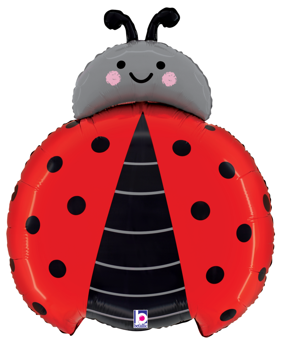 Pkg Ladybug 24"