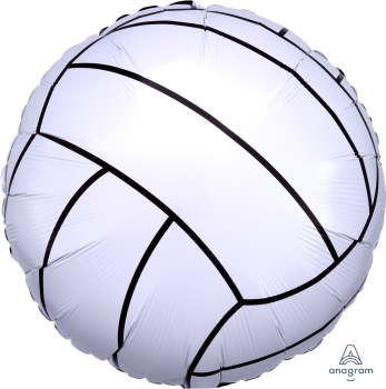 29504-championship-volleyball.jpg